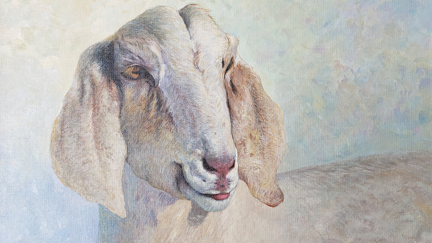 Hong Yin Animal Art