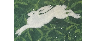 Marilyn Westgerdes